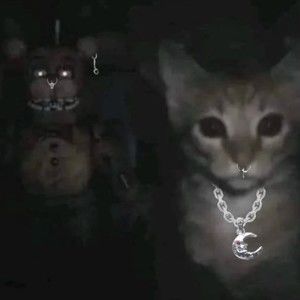 Meet your Posher, Eli